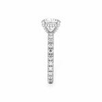 The Athena Hidden Halo Engagement Ring Engagement Rings