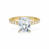 The Athena Hidden Halo Engagement Ring Engagement Rings