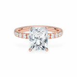 The Athena Hidden Halo Engagement Ring Engagement Rings