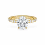 The Athena Hidden Halo Engagement Ring Engagement Rings