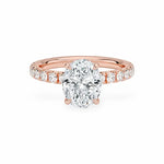 The Athena Hidden Halo Engagement Ring Engagement Rings