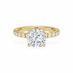 The Athena Hidden Halo Engagement Ring Engagement Rings