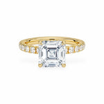 The Athena Hidden Halo Engagement Ring Engagement Rings