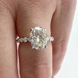 The Camille Hidden Halo Engagement Ring Engagement Rings