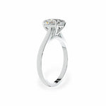 The Classic Cathedral Solitaire Princess Engagement Ring Engagement Rings
