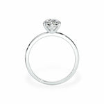 The Traditional Solitaire Engagement Ring Engagement Rings