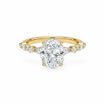 The Versailles Hidden Halo Engagement Ring Engagement Rings