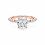 The Versailles Hidden Halo Engagement Ring Engagement Rings
